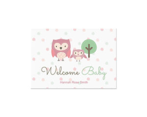 Welcome Baby Owl Landscape Flat Greeting Card