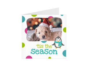 'Tis The Season Square Card